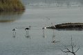 21.10.2012 Saline di Priolo (113)